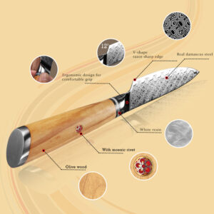 H05636f0dc25f4cff9e9e6c8a6b28146ae.jpg 800x800