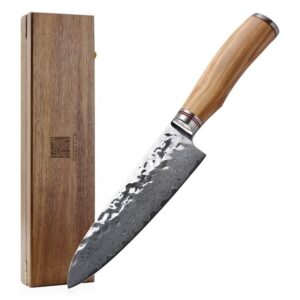 H50ddc9ec75fd448da611b21305acbb70w.jpg 800x800