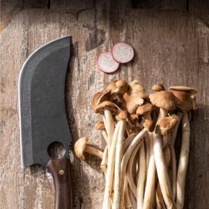 H596106ba1ac14aa38e90ed9104f09fa7U.jpg_800x800.jpg H596106ba1ac14aa38e90ed9104f09fa7U.jpg 800x800