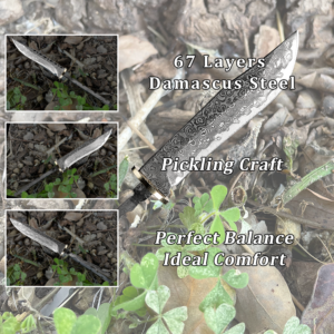 H6118e8bce3414100bf512d621a168183L.png 800x800