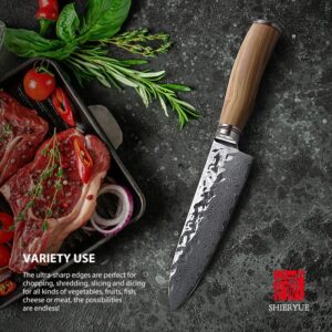 H936d533e9b9e44eb98cff5df8d50b6f3i.jpg 800x800