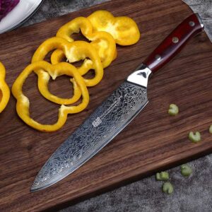 HTB1kQH9aTjxK1Rjy0Fnq6yBaFXaR.jpg_800x800.jpg HTB1kQH9aTjxK1Rjy0Fnq6yBaFXaR.jpg 800x800