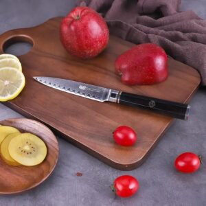 Ha3c74cf55dd141d9b5aa66c0ae49ae5aF.jpg 800x800