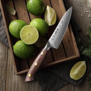 Hb083f77b0faa4247bf67ef382093276by.jpg 800x800